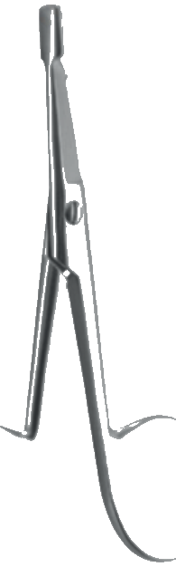 Round Cut Ciseaux
